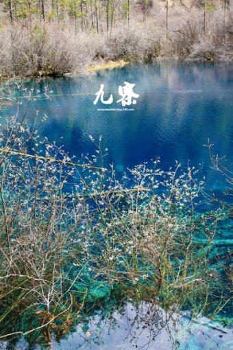 开发商都担心卖不掉的“4个”楼层，缺点非常明显，你知道是哪4个吗？